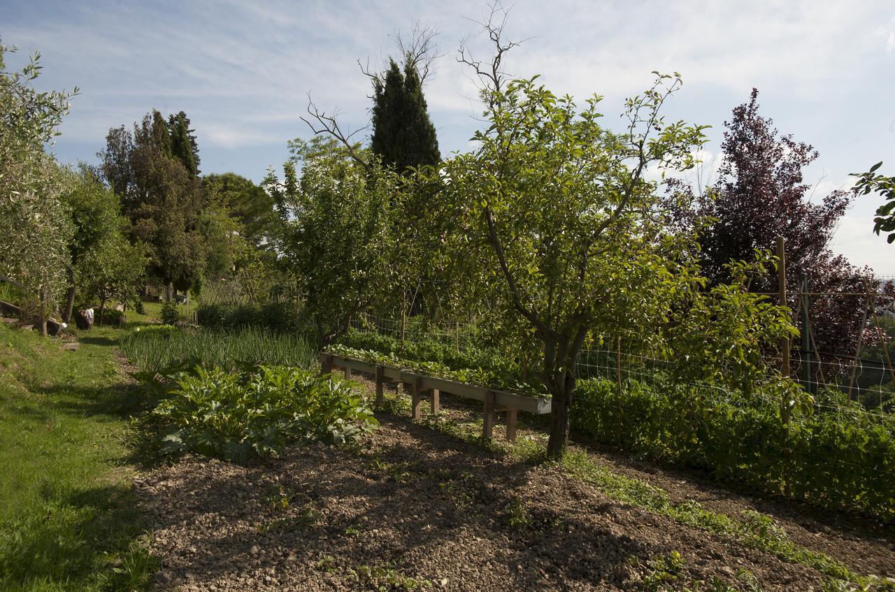 Tenuta Cambiano By Posarellivillas Castelfiorentino Exteriér fotografie